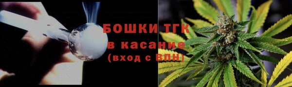 сатива Белокуриха