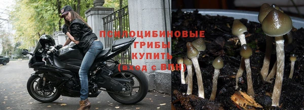 прущая мука Беломорск
