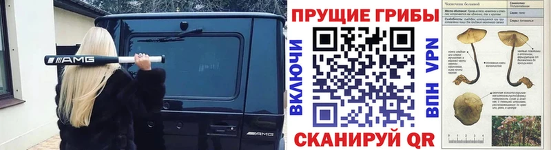 Галлюциногенные грибы прущие грибы  Острогожск 