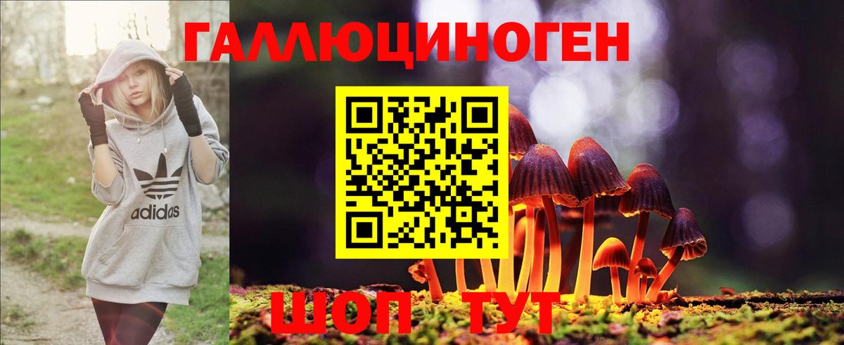 Острогожск  Галлюциногенные грибы MAGIC MUSHROOMS  Псилоцибиновые грибы GOLDEN TEACHER  Вход с VPN 